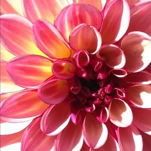 Meet your Posher, Arleta